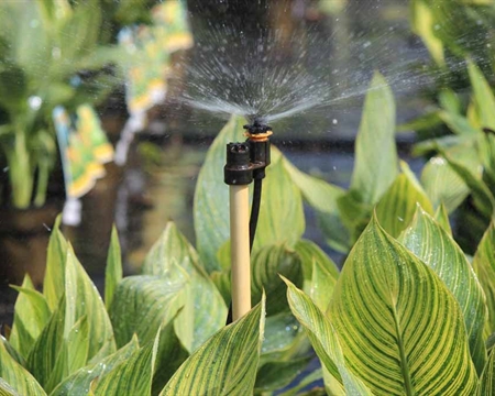 Micro-Sprinkler 微噴頭 直立型